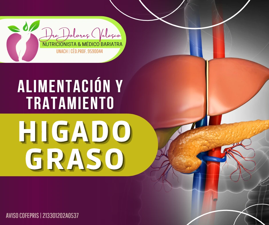 Alimentación y Tratamiento para Hígado Graso
